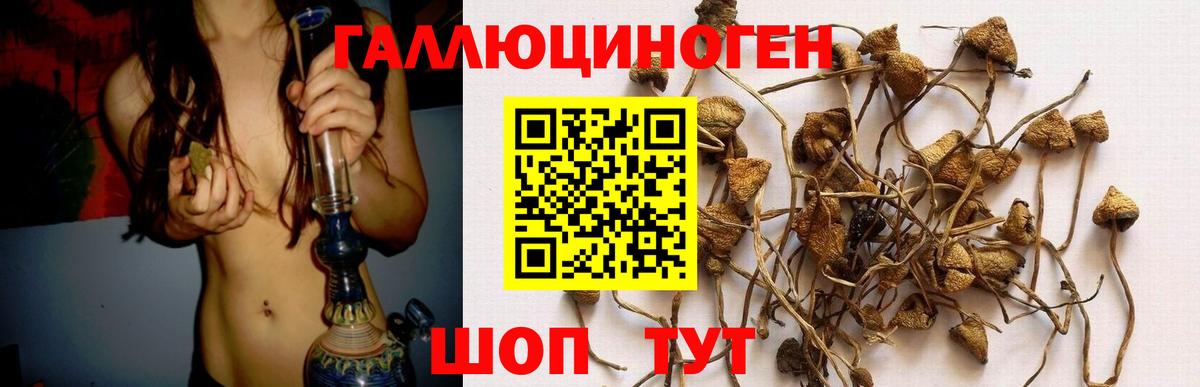Псилоцибиновые грибы мухоморы  Вход с VPN  Будённовск 